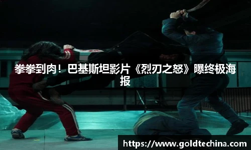 拳拳到肉！巴基斯坦影片《烈刃之怒》曝终极海报